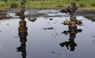 Buhari to launch Ogoni land clean-up June 2