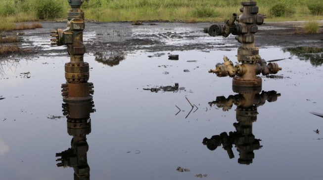 Buhari to launch Ogoni land clean-up June 2