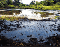 Oil spills: Reps panel vows to ensure justice for host communities