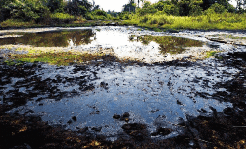 Oil spills: Activists call for ‘immediate’ clean-up in Bayelsa community
