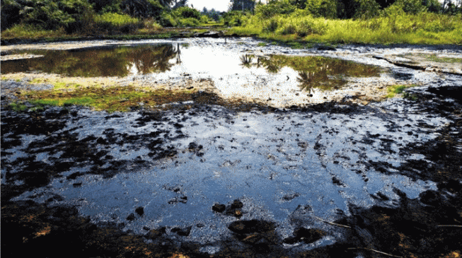 AI: Shell can’t rely on Nigeria to clean up its ‘dirty work’