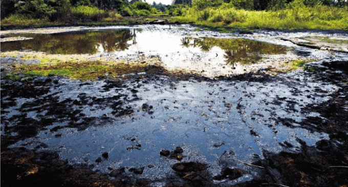 Oil spills: Activists call for ‘immediate’ clean-up in Bayelsa community