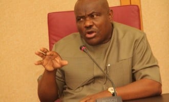 No land for cattle colony in Rivers, says Wike