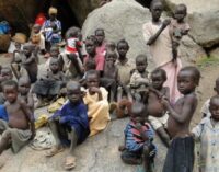 UNICEF: 1.4m children risk death as famine looms in Nigeria, Somalia