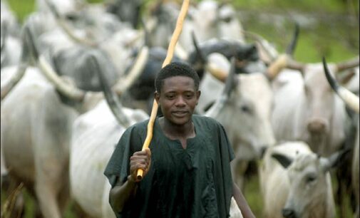 Herdsmen ‘will worsen’ the poverty in Nigeria