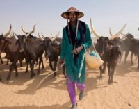 There is no how we won’t carry daggers, say herdsmen