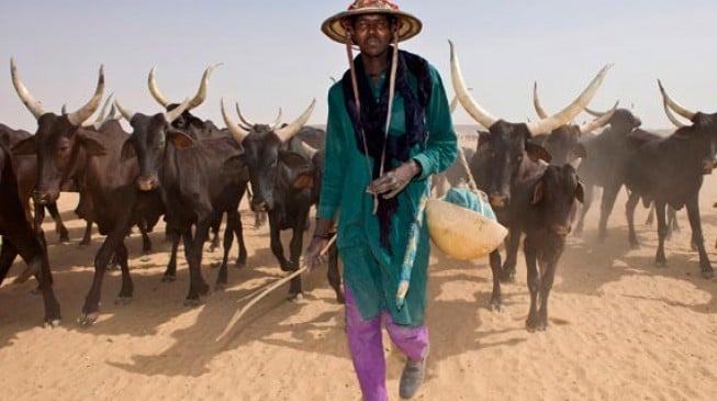 Buratai: Killer herdsmen may have links with Boko Haram
