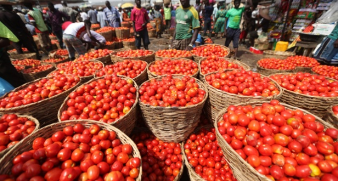 Nigeria, Boko Haram, politics and economics of tomatoes