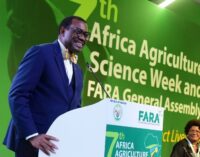 Adesina: Nigeria increased food production by 21m tonnes in 4 years