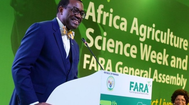Adesina: Nigeria increased food production by 21m tonnes in 4 years