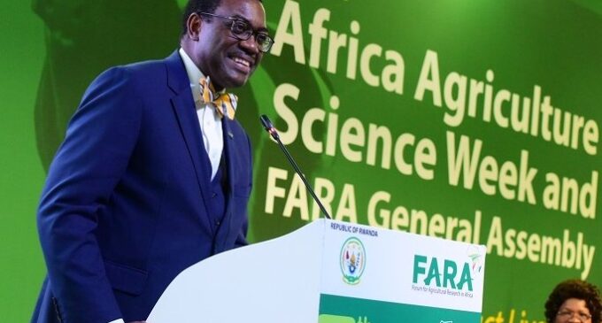 Adesina: Nigeria increased food production by 21m tonnes in 4 years