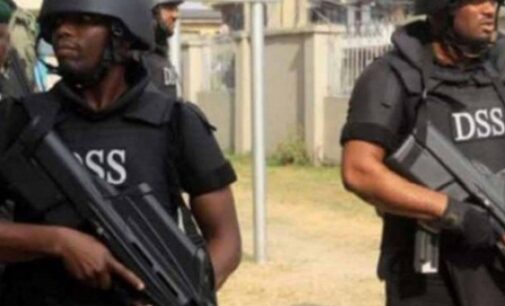 The DSS operates within its mandate