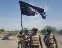 Soldiers ambush Boko Haram fighters, kill 10, capture 2