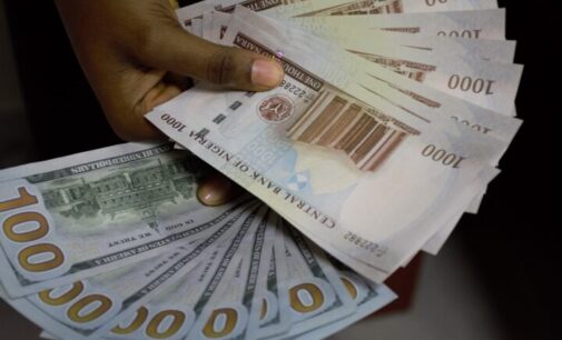 Naira hits new record low as forex market gap widens