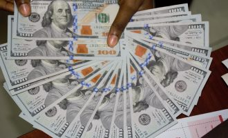 Exempt us from VAT, bank charges… BDCs list how to make naira stronger