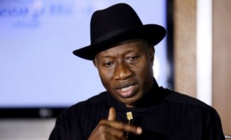 Omokri: Jonathan treated herdsmen as terrorists