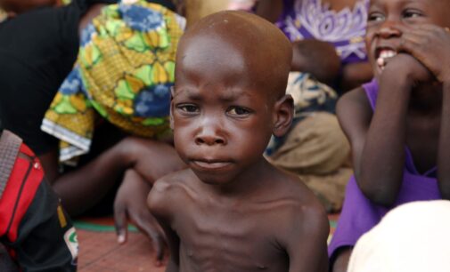 ALERT: 184 children ‘will die’ of malnutrition every day in the north-east