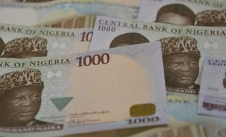 From 13.79% in April, FG raises savings bond interest to 14.53%