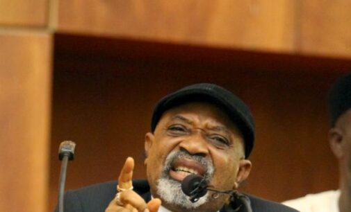 ‘Your comments will escalate brain drain’ — NMA tackles Ngige