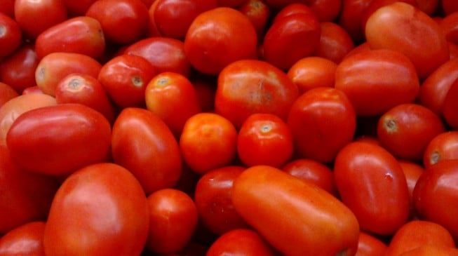 WHEN BIG IS BAD: 5,000 farmers not enough to supply tomato to Dangote’s factory