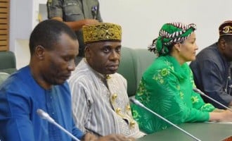 South-south cannot intimidate Nigeria, says Amaechi