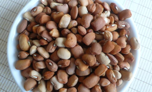 EU: Nigerian beans still too dangerous to eat