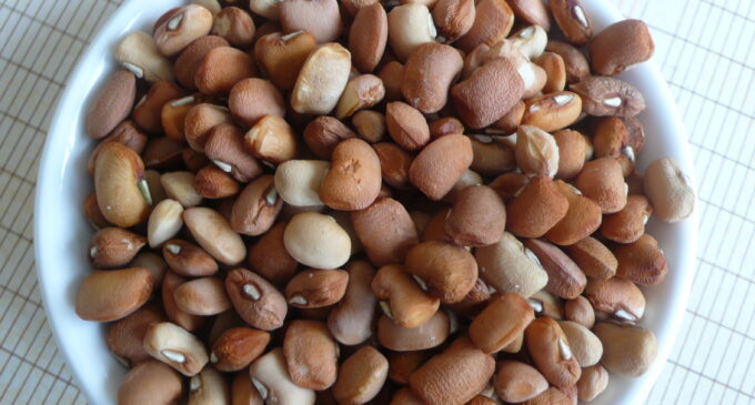 EU: Nigerian beans still too dangerous to eat