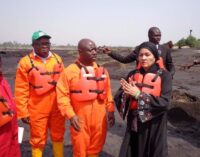 Environment minister calls for patience over pace of Ogoni cleanup