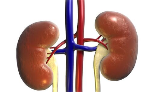 Salt, food seasonings ‘can lead to chronic kidney disease’