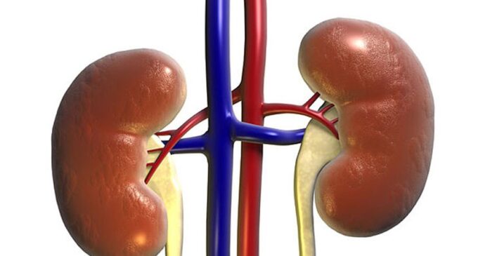Self-medication damages the kidney, says doctor