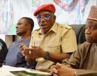 Avengers: ‘Niger Delta fraudsters’ have dealt with sport minister
