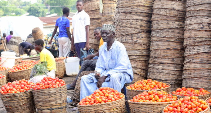 We shut tomato processing plant due to lack of forex, says Dangote official