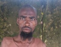 From Sambisa, Boko Haram kingpin lands in army custody