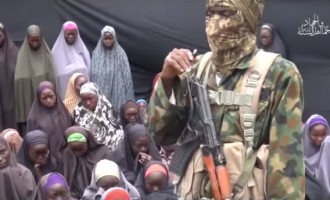 BBOG member: FG should do whatever it takes to get remaining Chibok girls