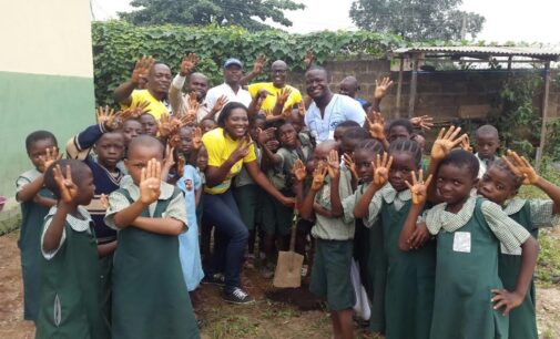 JCI Ibadan combats climate change – one tree at a time
