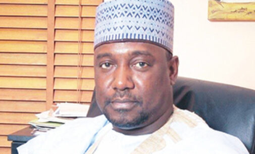 Niger gov fires SSG ‘for no reason’