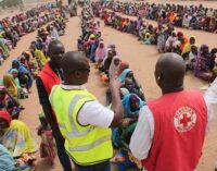 Red Cross: 57,000 IDPs have benefited from our cash programme
