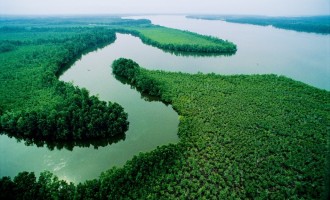 5 Malian soldiers found dead in river Niger