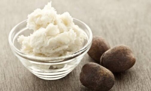 Great for skin, aids hair growth… four health benefits of shea butter
