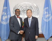 Ban Ki-moon appoints Adesina to fight malnutrition