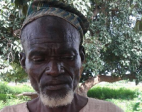 Army ‘arrests’ insurgent who raises, sells sheep for Boko Haram