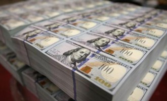Dollar collapse likely to remain in place