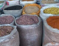 Food prices drop in Kano as farmers begin harvest