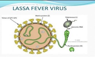 HURRAY! No more lassa fever in Delta
