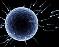 Men should be allowed to donate sperm after death, study says