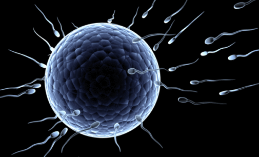 Men should be allowed to donate sperm after death, study says