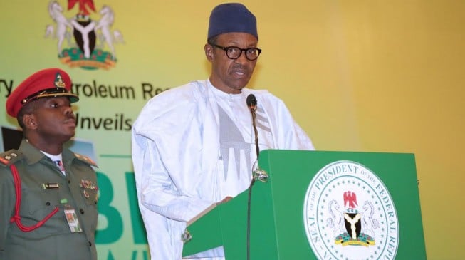 Buhari acted well in establishing north-east committee, says group