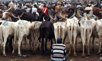 Miyetti Allah, pork barrel and change