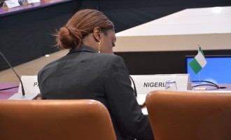 Adeosun: Nigeria’s debt not too high, but revenue just too low