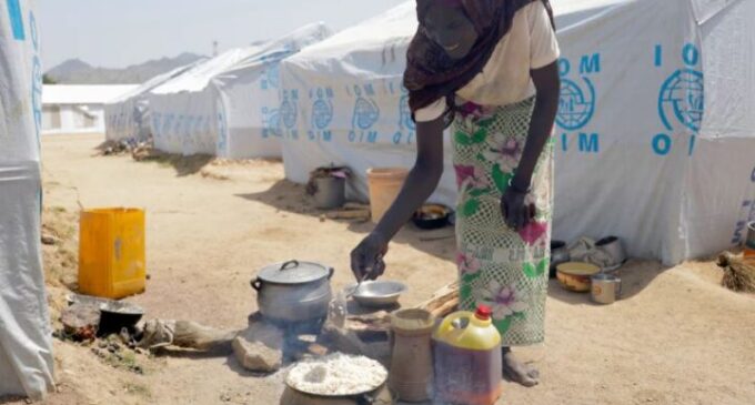 ‘Funding drying up’ — WFP warns of food ration cuts for north-east IDPs